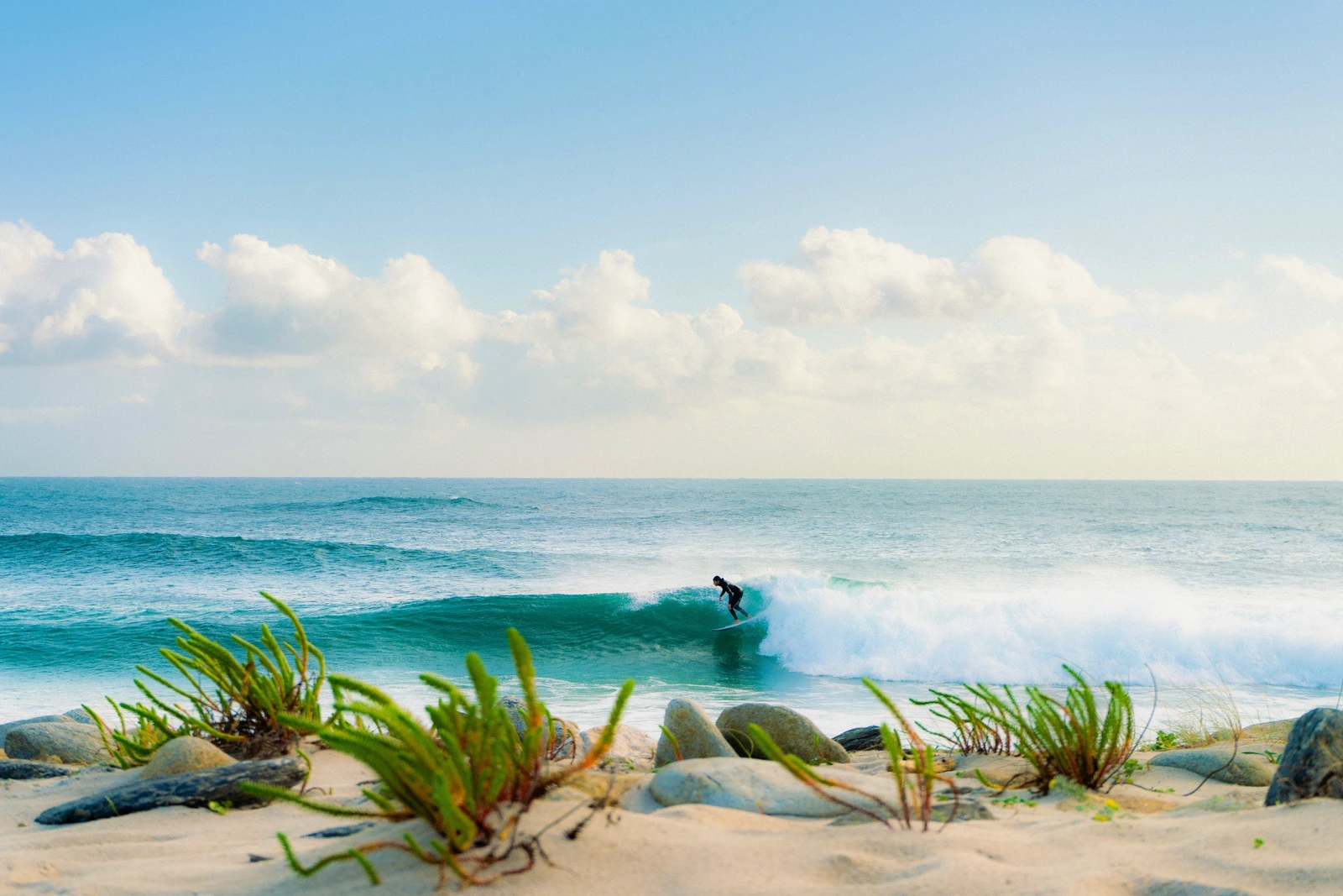 _DSC3572_1.webp